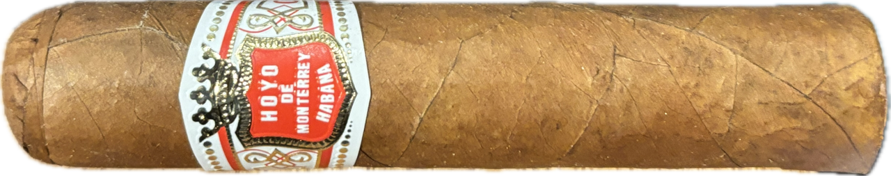 Hoyo de Monterrey Petit Robusto