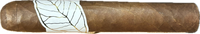 Thumbnail for C.Cigars Special No. 1 Robusto