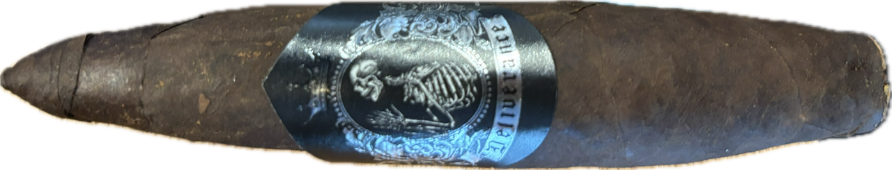 Black Label Trading Company Nocturne Perfecto und Short Salomon