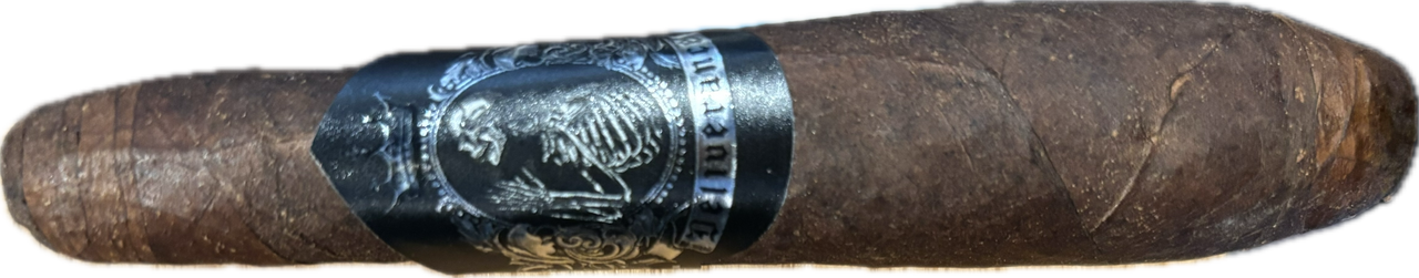 Black Label Trading Company Nocturne Perfecto und Short Salomon