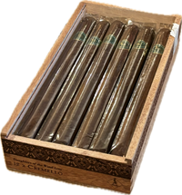 Thumbnail for Casdagli Daughters of the Wind Cremello (Lancero)