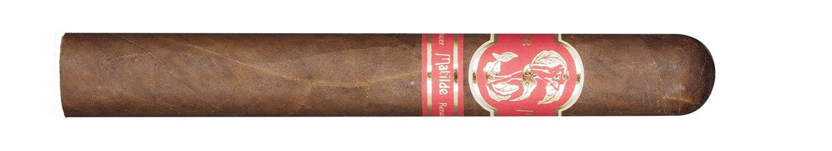 Matilde Renancer Toro Bravo