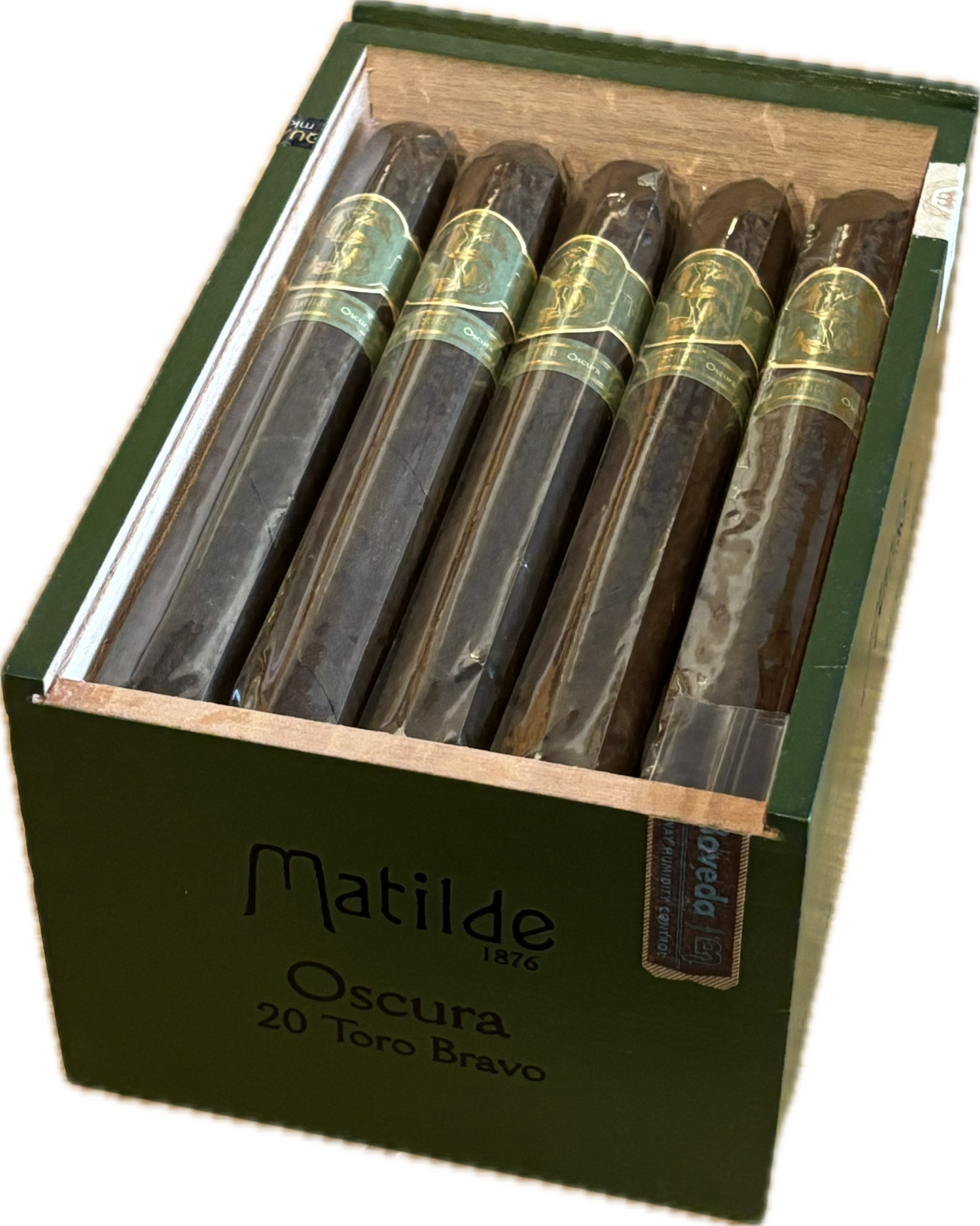Matilde Oscuro Toro Bravo