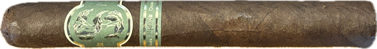 Matilde Oscuro Toro Bravo
