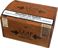 Thumbnail for Oscar Valladares The Leaf Connecticut Toro