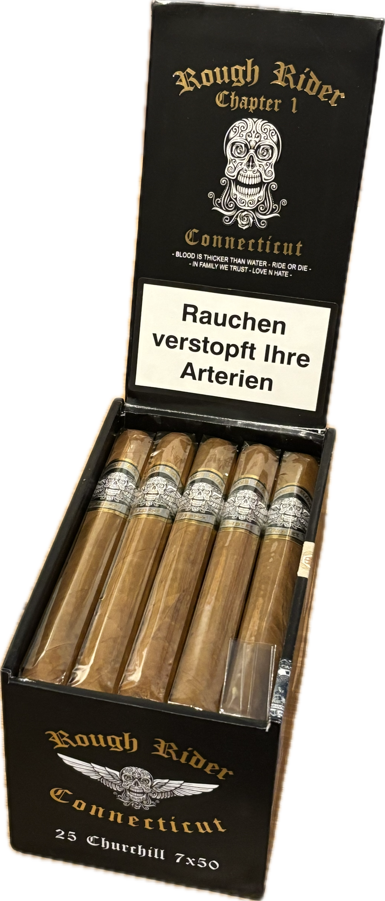 Rough Rider Chaper 1 Churchill