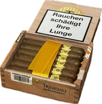 Thumbnail for Trinidad Reyes