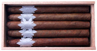 Thumbnail for Snow PIG by C.Cigars